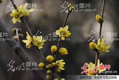 20150106145514_5797.jpg