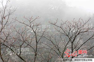 桂北大幅度降温_新闻