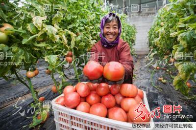 2015年中央一号文件发布 加大农村改革创新力