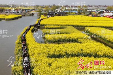 泰州江苏风景区攻略花开似海游人如织v攻略美油菜手游大话一转男人图片