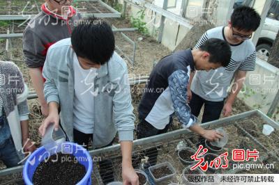 外卖一元餐盒哪里去?扬大学子变废为宝种盆