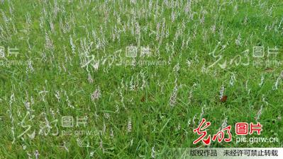 20150605181925_5670.jpg