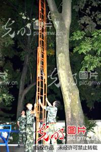 消防官兵捅马蜂窝 保护师生安全_向国大