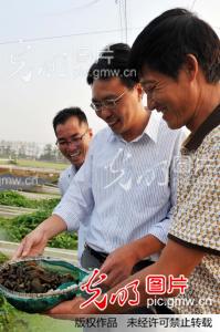 江苏赣榆农民养殖水蛭增收致富_朱代桂