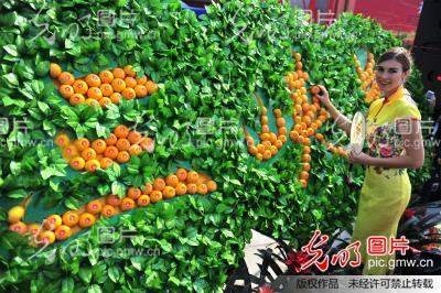 华中地区首座柑橘博物馆在湖北宜昌建成开馆
