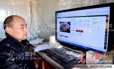 河南夏邑﹕林下养殖网上卖 绿色食品富村民_苗