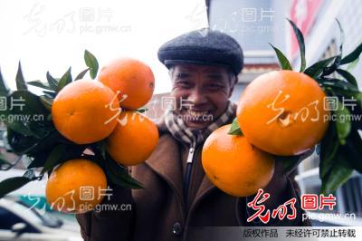 重庆云阳:万吨脐橙销往俄罗斯_刘兴敏