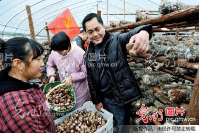 江西婺源:特色扶贫给农户传经送宝