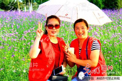 江苏东海:农业综合开发园西双湖景区百合花开