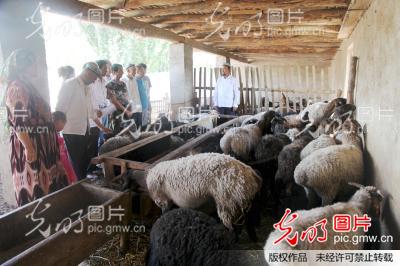 人均木毛(2)