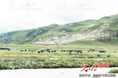 四川甘孜:色达草原景色美如画_齐云山杯第四届