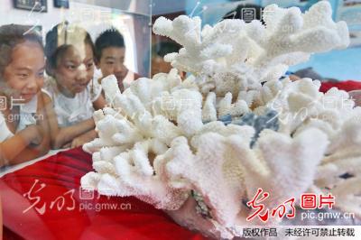 河北秦皇岛:走进海洋馆 假日欢乐多_新闻