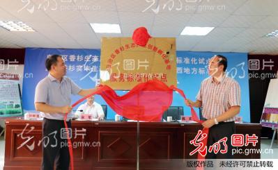 广西启动制定香杉实木生态板生产技术规程地方