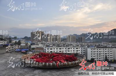 贵州瓮癌民秋晒专业v专业辣椒_干货平面设计范文个人简历大全新闻图片