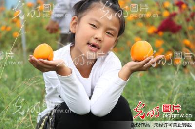 河北省平乡县田付村学区南时村幼儿园开展传统