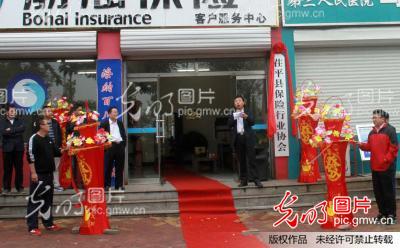 山东:茌平县保险行业协会成立_四季中国
