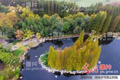 青岛进入七彩调色板季节 湖光山色惹人醉