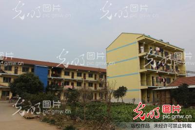 湖北孝感:云梦建成全国最大的虎皮鹦鹉养殖场