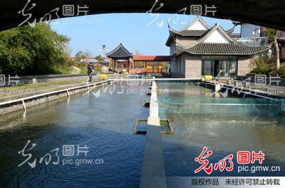 江苏海安:探索池塘工厂化循环水养鱼新路(