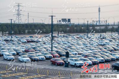 实拍元旦假日上海迪士尼停车场 千辆私家车密