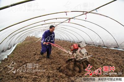 重庆梁平:“科技家教”带动瓜农种植西瓜