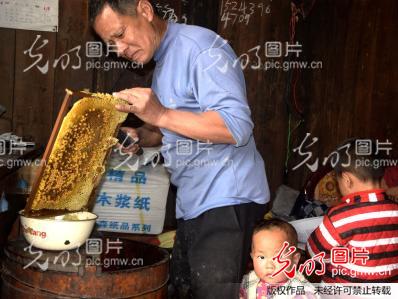 湖南深冲:范顺球养蜜蜂脱贫致富