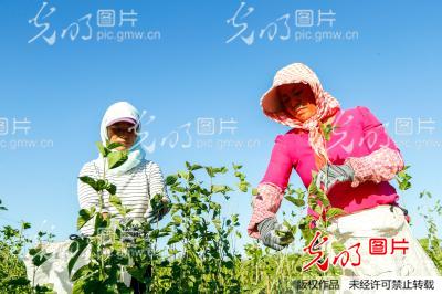 20000��ɳ��ɣ�����f������&ldquo;���o(h��)��&rdquo;