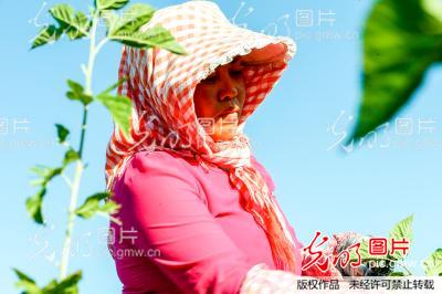 20000��ɳ��ɣ�����f������&ldquo;���o(h��)��&rdquo;