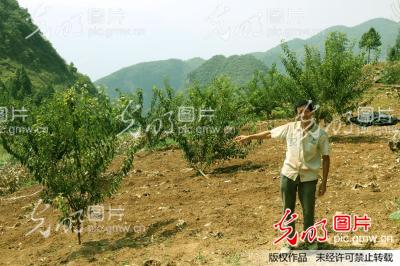 重庆巫山曲尺黄明波不等不靠拼搏攻坚走脱贫致