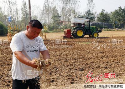 河南:鹿邑农民抢抓时节忙秋收 秸秆还田变废为